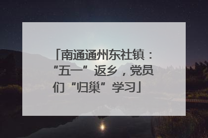 南通通州东社镇：“五一”返乡，党员们“归巢”学习