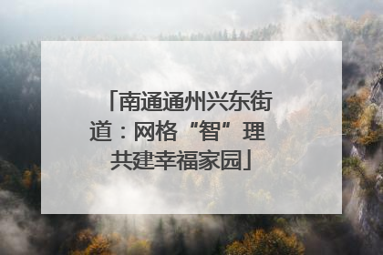 南通通州兴东街道：网格“智”理 共建幸福家园
