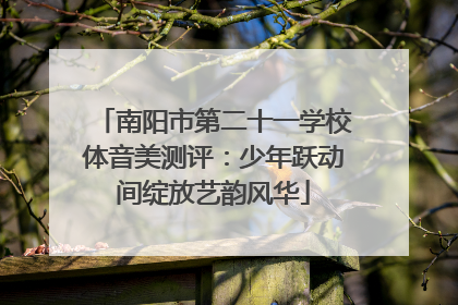 南阳市第二十一学校体音美测评：少年跃动间绽放艺韵风华
