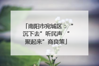 南阳市宛城区：“沉下去”听民声 “聚起来”商良策