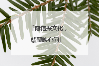 博馆探文化，赣鄱映心间