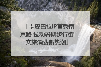 卡皮巴拉IP首秀南京路 拉动暑期步行街文旅消费新热潮