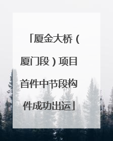 厦金大桥（厦门段）项目首件中节段构件成功出运