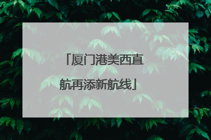 厦门港美西直航再添新航线