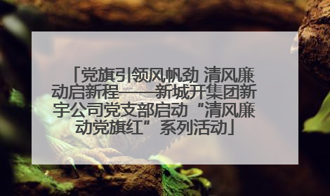 党旗引领风帆劲 清风廉动启新程——新城开集团新宇公司党支部启动“清风廉动党旗红”系列活动