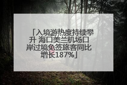 入境游热度持续攀升 海口美兰机场口岸过境免签旅客同比增长187%