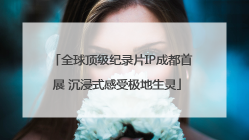 全球顶级纪录片IP成都首展 沉浸式感受极地生灵