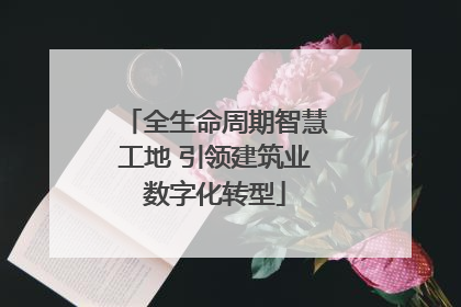 全生命周期智慧工地 引领建筑业数字化转型