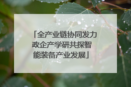 全产业链协同发力 政企产学研共探智能装备产业发展