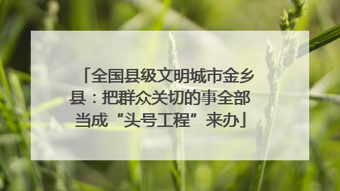 全国县级文明城市金乡县：把群众关切的事全部当成“头号工程”来办