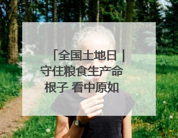 全国土地日｜守住粮食生产命根子 看中原如何“耕”新
