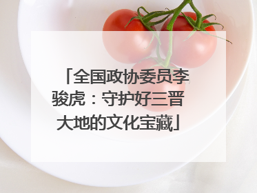 全国政协委员李骏虎：守护好三晋大地的文化宝藏