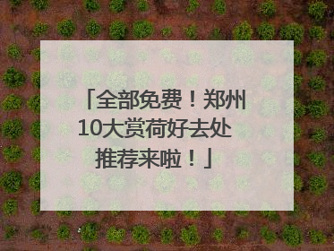 全部免费！郑州10大赏荷好去处推荐来啦！