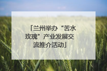 兰州举办“苦水玫瑰”产业发展交流推介活动