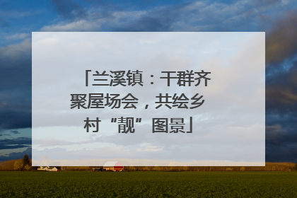 兰溪镇：干群齐聚屋场会，共绘乡村“靓”图景