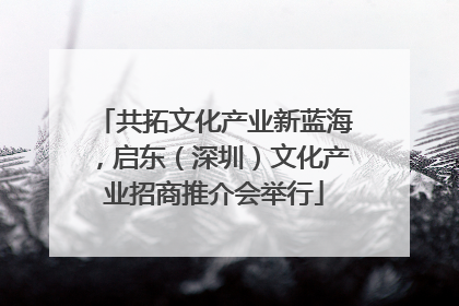 共拓文化产业新蓝海，启东（深圳）文化产业招商推介会举行