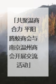 共聚温商合力 平阳腾蛟商会与南京温州商会开展交流活动