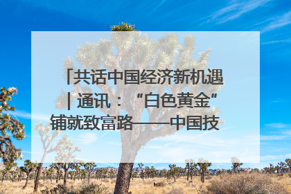 共话中国经济新机遇｜通讯：“白色黄金”铺就致富路——中国技术助力科特迪瓦橡胶产业增产增效