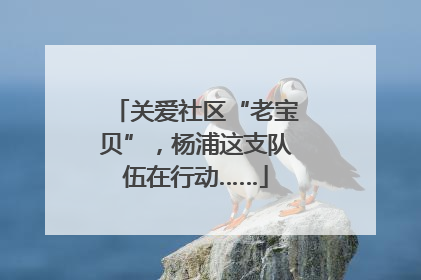 关爱社区“老宝贝”，杨浦这支队伍在行动……