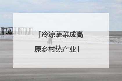 冷凉蔬菜成高原乡村热产业