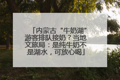 内蒙古“牛奶湖”游客排队接奶？当地文旅局：是纯牛奶不是湖水，可放心喝