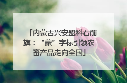 内蒙古兴安盟科右前旗：“蒙”字标引领农畜产品走向全国