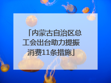 内蒙古自治区总工会出台助力提振消费11条措施