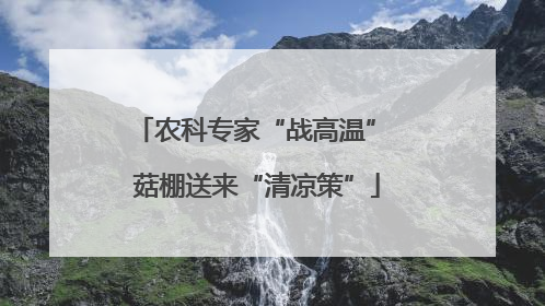 农科专家“战高温” 菇棚送来“清凉策”