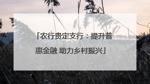农行贵定支行：提升普惠金融 助力乡村振兴