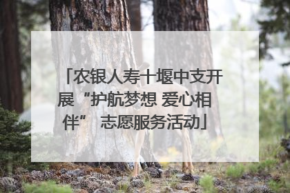 农银人寿十堰中支开展“护航梦想 爱心相伴” 志愿服务活动
