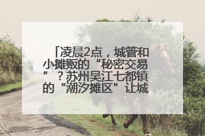 凌晨2点，城管和小摊贩的“秘密交易”？苏州吴江七都镇的“潮汐摊区”让城市管理有了人情味