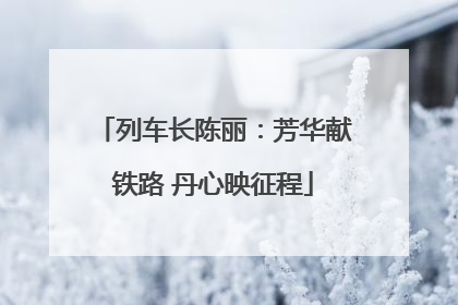 列车长陈丽：芳华献铁路 丹心映征程