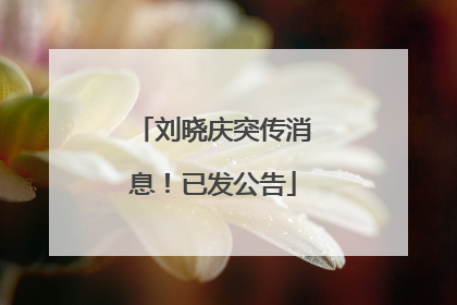 刘晓庆突传消息！已发公告