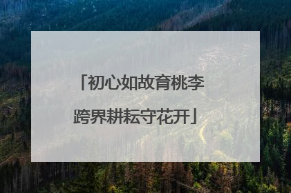 初心如故育桃李 跨界耕耘守花开