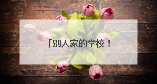 别人家的学校！又“偷偷”往学生饭卡里充钱了