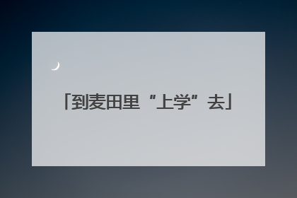 到麦田里“上学”去