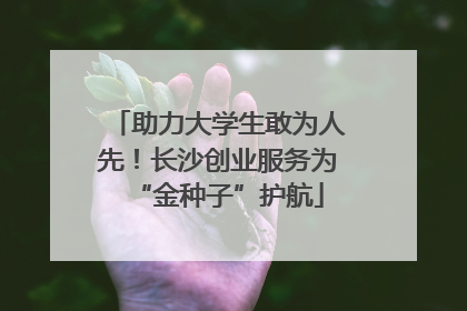 助力大学生敢为人先！长沙创业服务为“金种子”护航