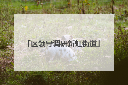 区领导调研新虹街道