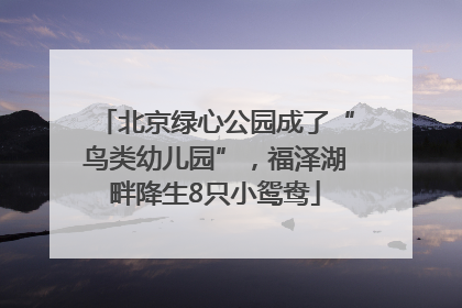 北京绿心公园成了“鸟类幼儿园”，福泽湖畔降生8只小鸳鸯