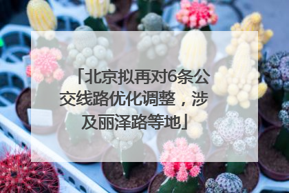 北京拟再对6条公交线路优化调整，涉及丽泽路等地