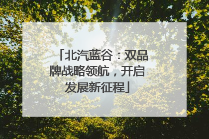 北汽蓝谷：双品牌战略领航，开启发展新征程