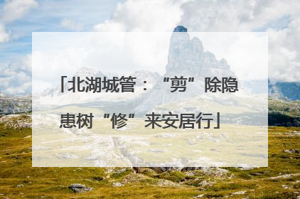 北湖城管：“剪”除隐患树“修”来安居行