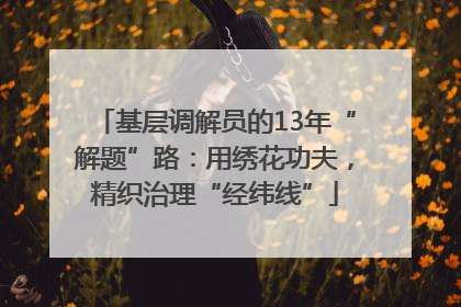 基层调解员的13年“解题”路：用绣花功夫，精织治理“经纬线”