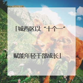 城西区以“十个一”赋能年轻干部成长