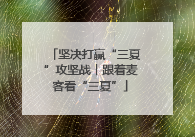 坚决打赢“三夏”攻坚战丨跟着麦客看“三夏”