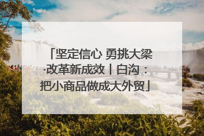 坚定信心 勇挑大梁·改革新成效丨白沟：把小商品做成大外贸
