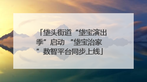 垡头街道“垡宝演出季”启动 “垡宝治家”数智平台同步上线