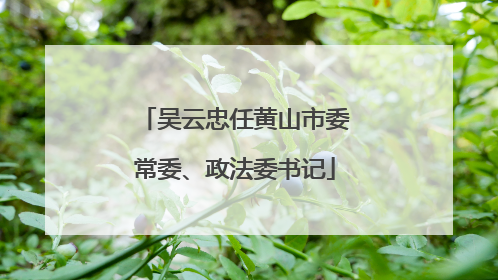 吴云忠任黄山市委常委、政法委书记