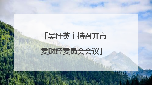 吴桂英主持召开市委财经委员会会议