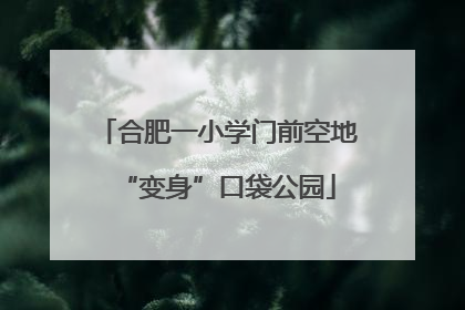 合肥一小学门前空地“变身”口袋公园